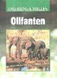 Olifanten Dierenfamilies