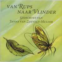 Van Rups Naar Vlinder