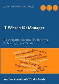 IT-Wissen fur Manager